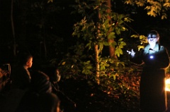 Macbeth en Foret 16 * 5760 x 3840 * (6.76MB)